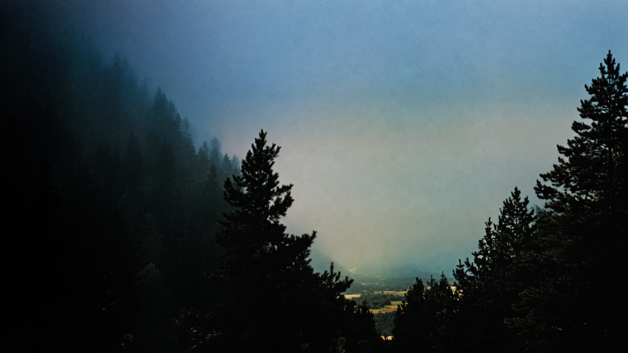 Dark pine silhouettes frame a pale valley under a washed blue sky